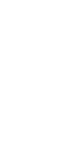 ウイスキー×フライの盛り合わせ